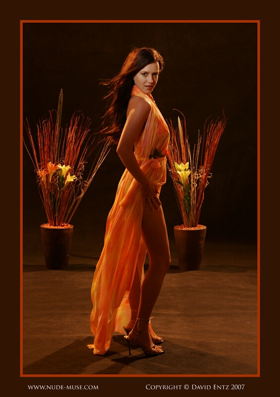 Click to See Next Image