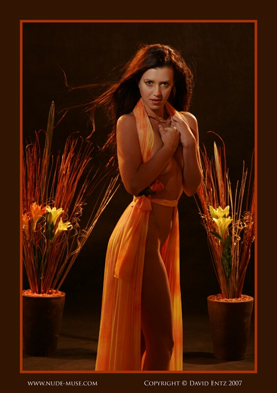 Click to See Next Image