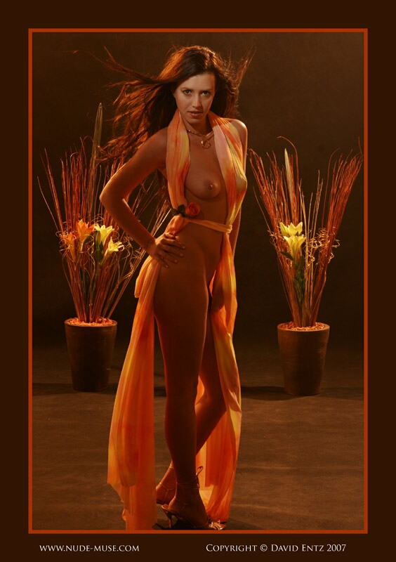 Click to See Next Image