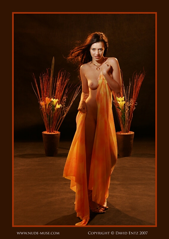 Click to See Next Image