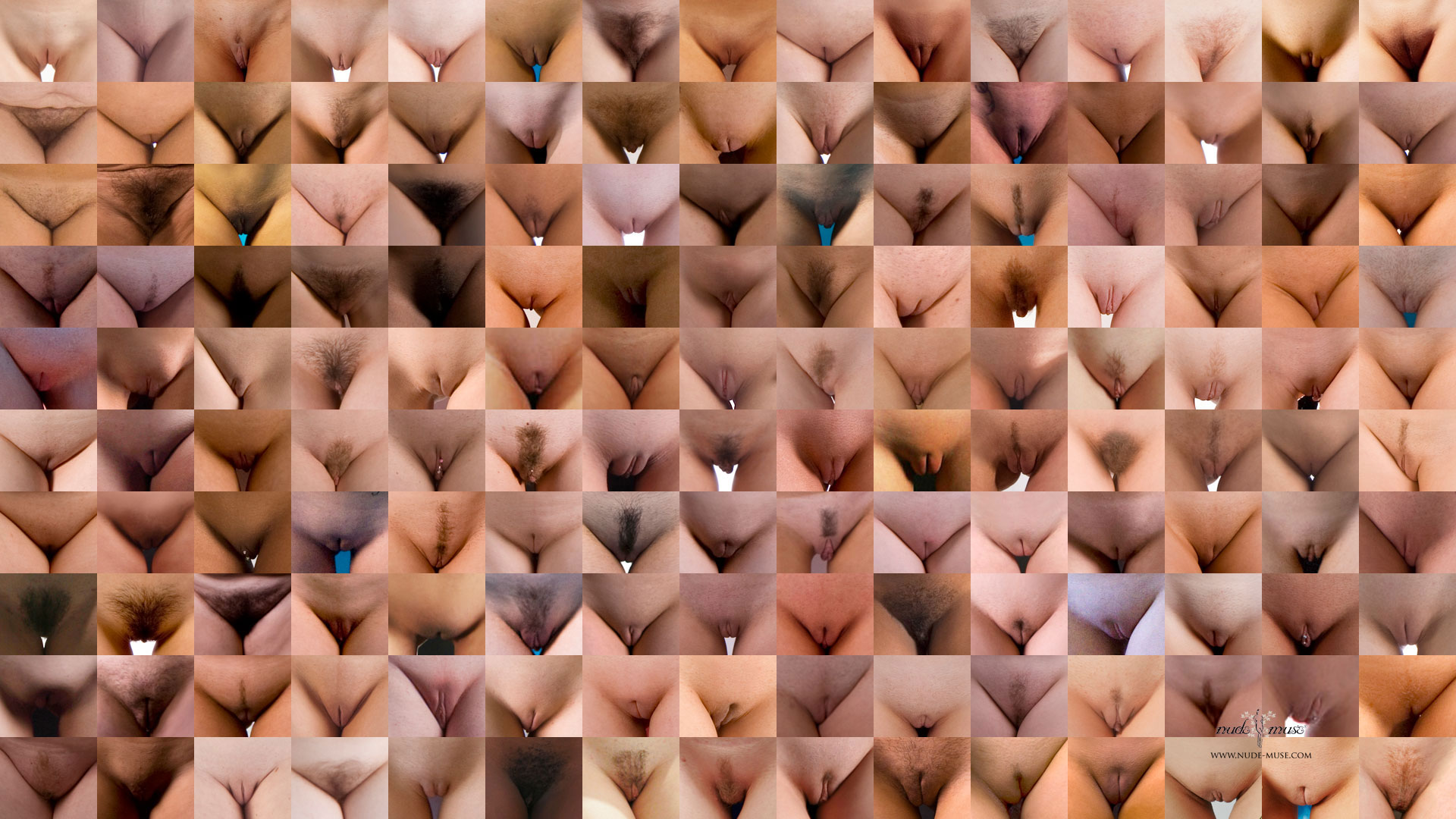 Разновидности женских половых органов фото