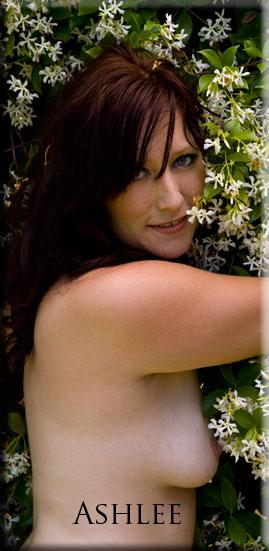 Ashlee