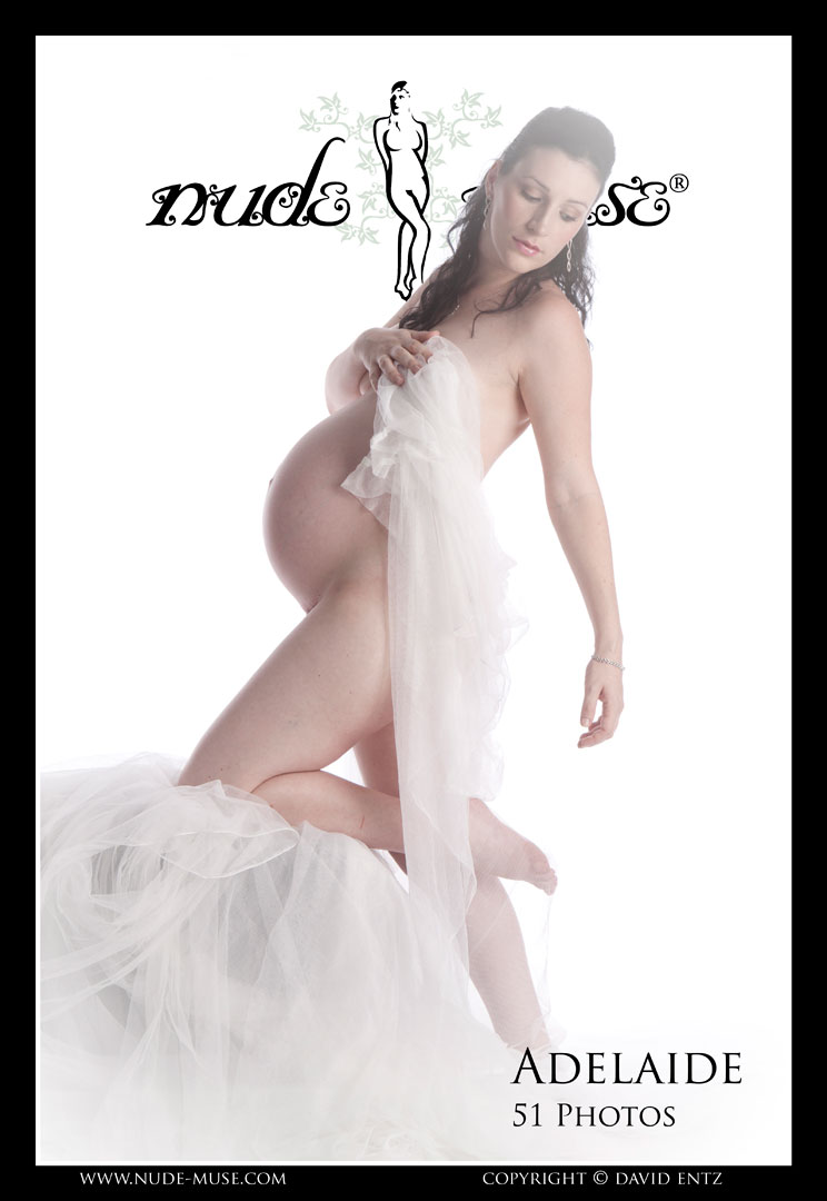 adelaide pregnant dreams