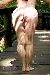 annabelle-lee rainforest walk video