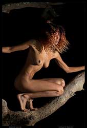 aria-bluesky night nude