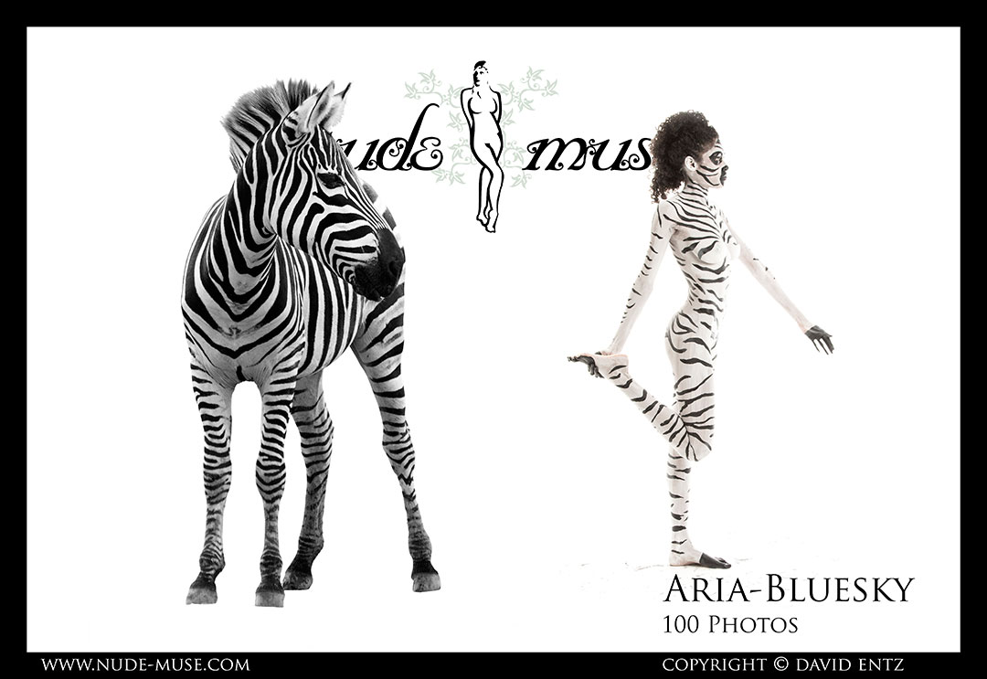 aria-bluesky zebra