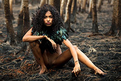 aria-bluesky the raven video