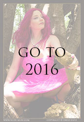 avalon pink fairy lady