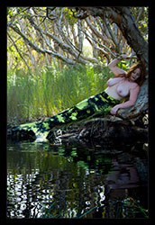 avalon and misty-day swamp mermaids