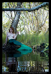 avalon and misty-day swamp mermaids