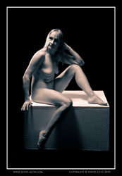 belle_m shadows of art