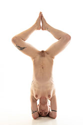 blue-moon nude forms