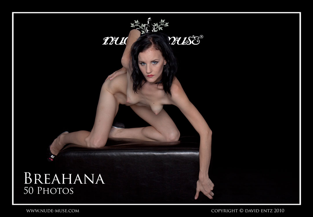 breahana black bench