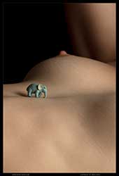 caity miniature world