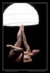 carmen reach for the light