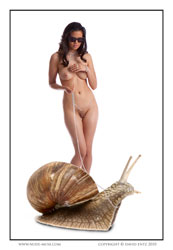 cynthia walk the snail