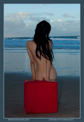 danii ashley nude beach cubed