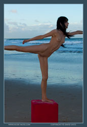 danii ashley nude beach cubed