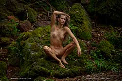 elly nature of things video