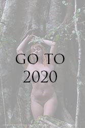 ember rainforest home