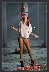 erin dreams come true