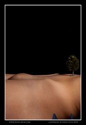 lou minature landscapes