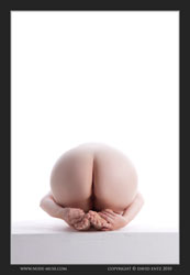 melissa artists model