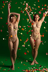 misty-day rose petal mayhem