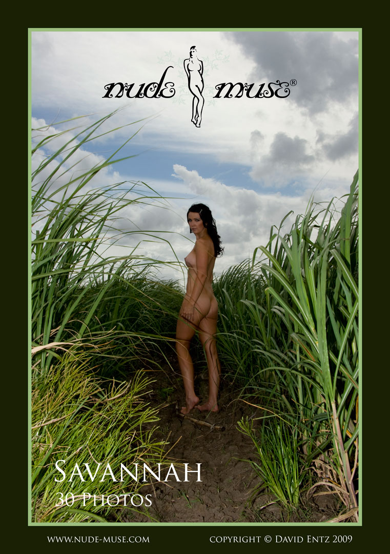 Sugar Cane nude photos