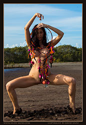 stephanie dreamcatcher