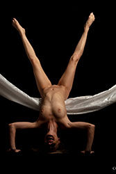 tiffani white hammock