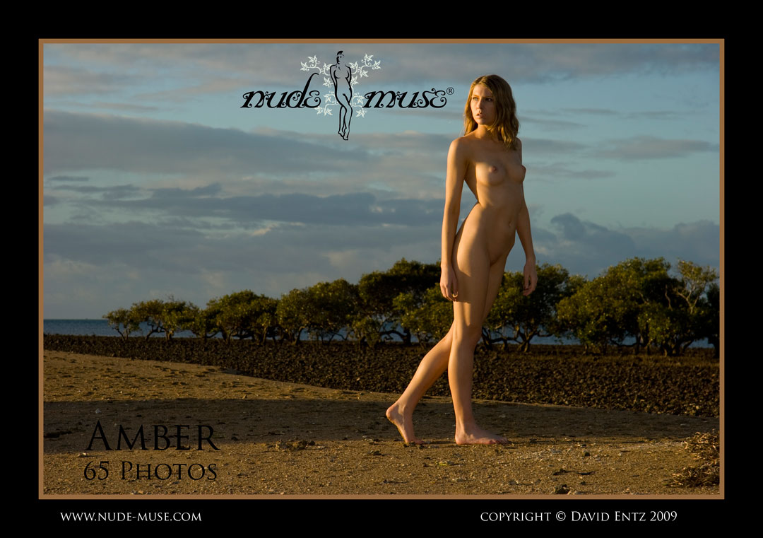 amber mushroom afternoon