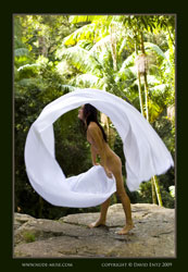 angela rainforest pixie