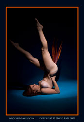 annabel orange frond