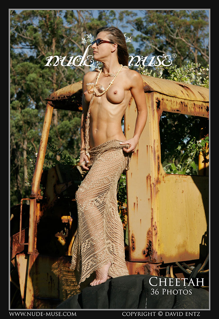 cheetah farm machinery