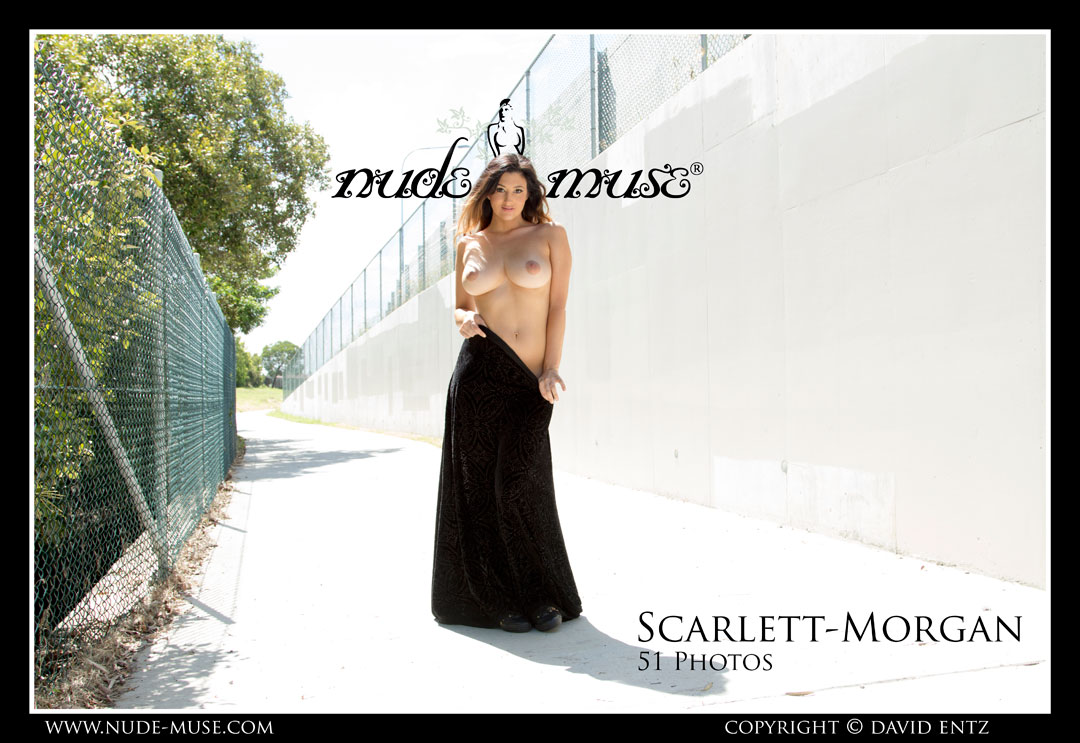 scarlett-morgan long black dress
