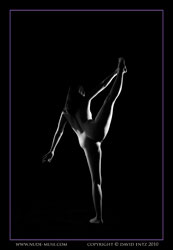 kristie nude silhouette