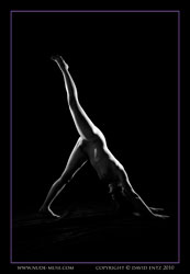 kristie nude silhouette