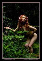 minnie forest sprite