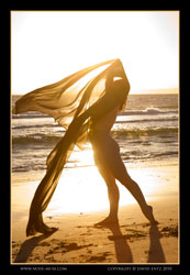 smokey greeting the sun