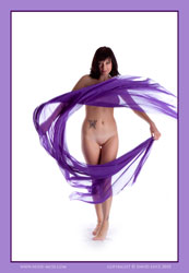 sophie purple fabric