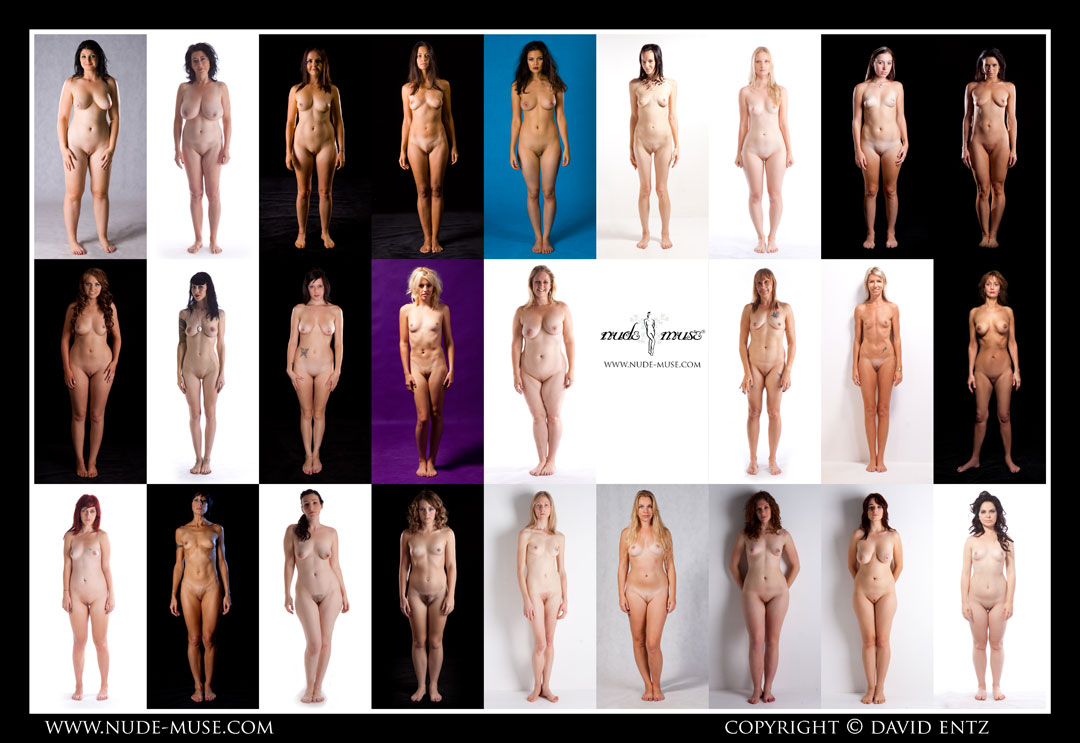 together we stand series 5