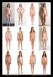 together we stand series 7